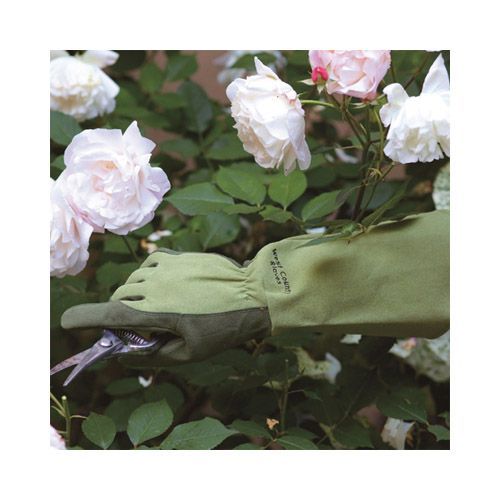 宅急便ｺﾝﾊﾟｸﾄ」WESTCOUNTY ROSE No.432 良い モス M 東和