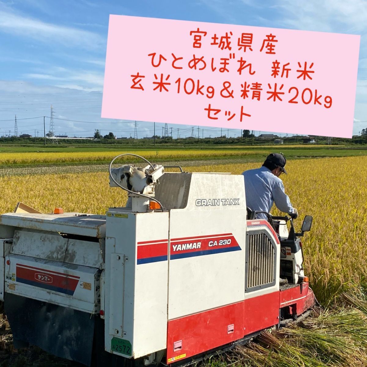 メルカリShops - 【新米】宮城県産ひとめぼれ 30kg 令和4年 玄米＆白米セット