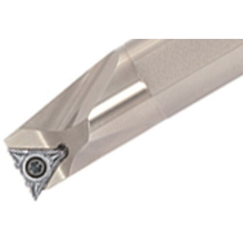 名前つき　ダリア　掘り上げたままセット　写真ぜんぶ 名前つき ダリア 掘り上げたままセット 写真ぜんぶ