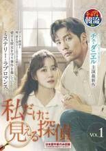 私だけに見える探偵 13巻セット 字幕 レンタル落ち DVD