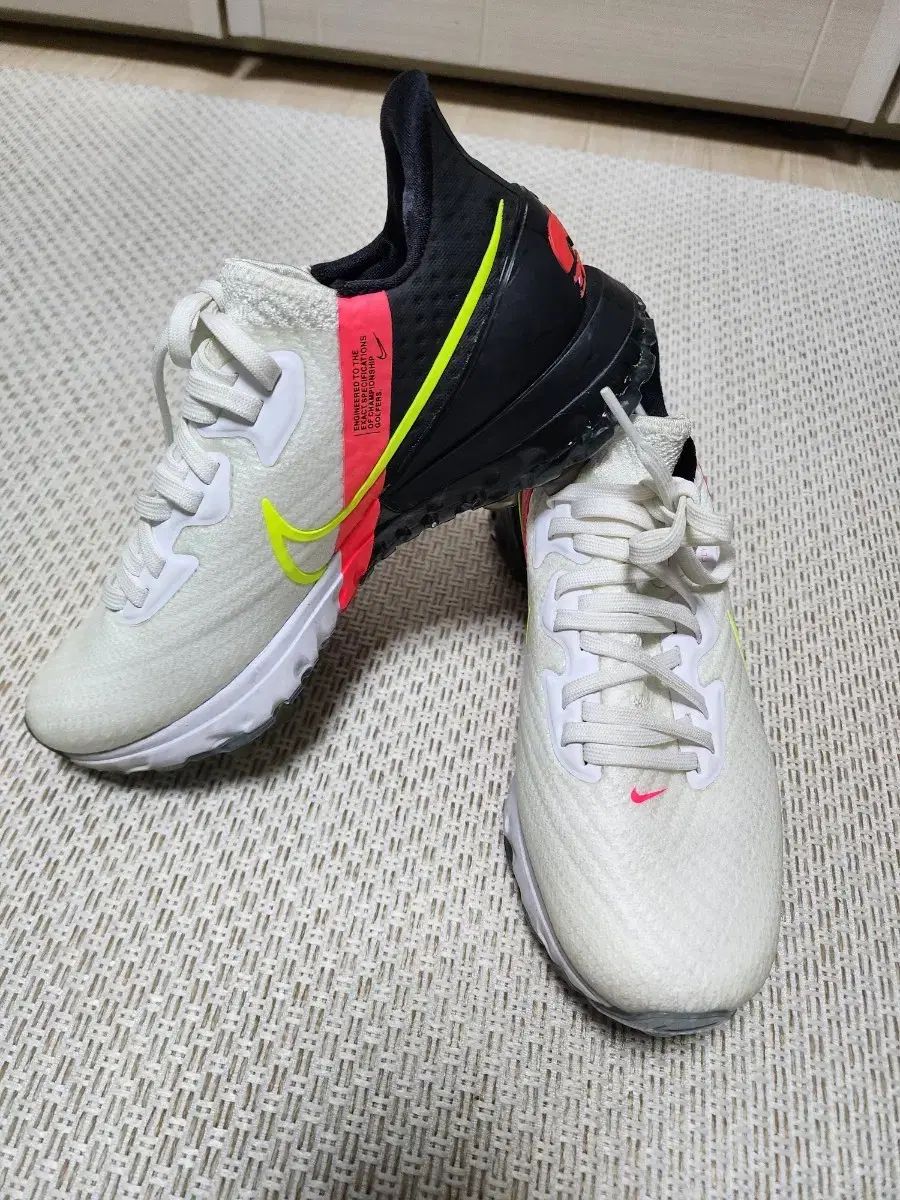 22×22×30cm (L) レインボー ぬいぐるみ もちかえる カエル もち