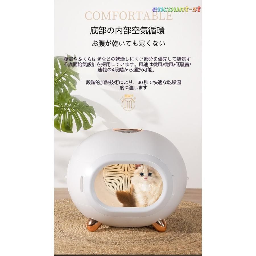 犬用