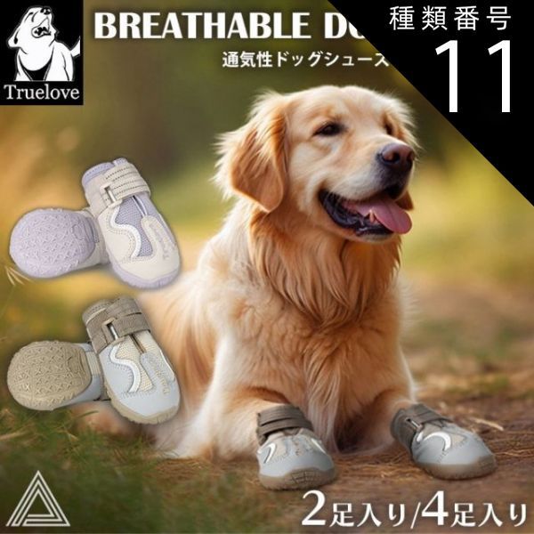 中国 堆朱 山水楼閣彫 針木盆 輪花盆 時代箱付 F R8632