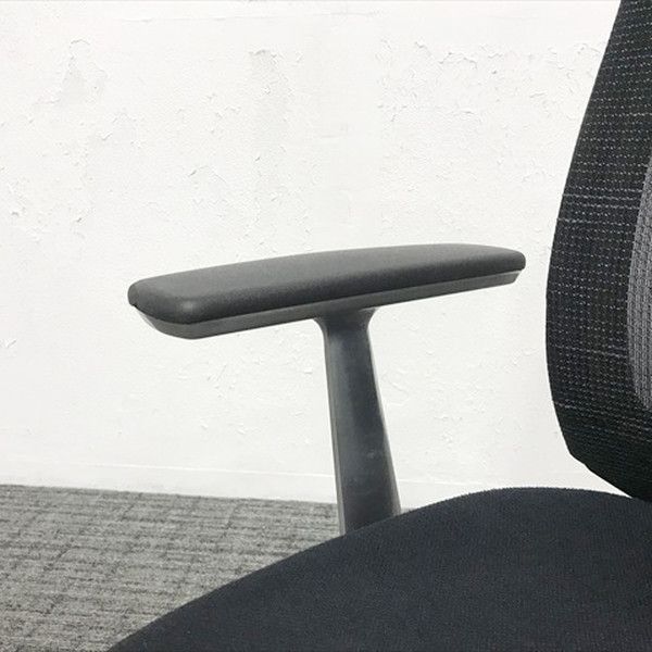 アルミポリッシュ モデレートタイプ