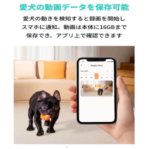 Eufy dog camera D 605 ペットカメラ ホワイト