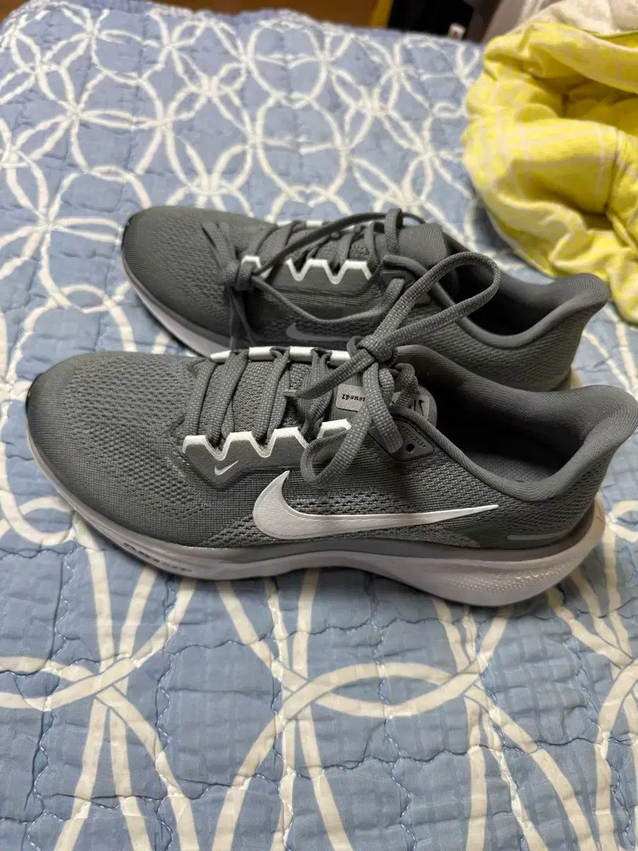 ナイキ ペガサス41