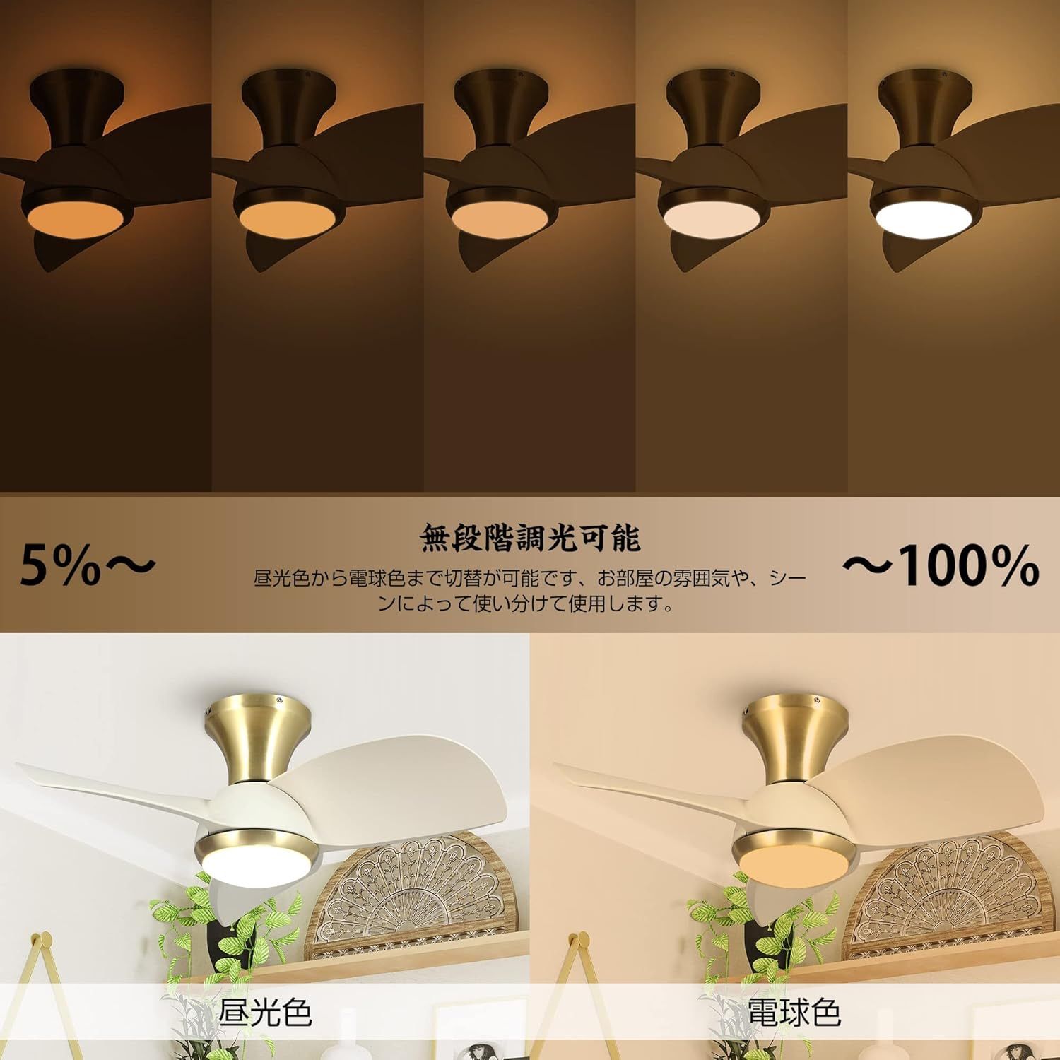 照明 ファン