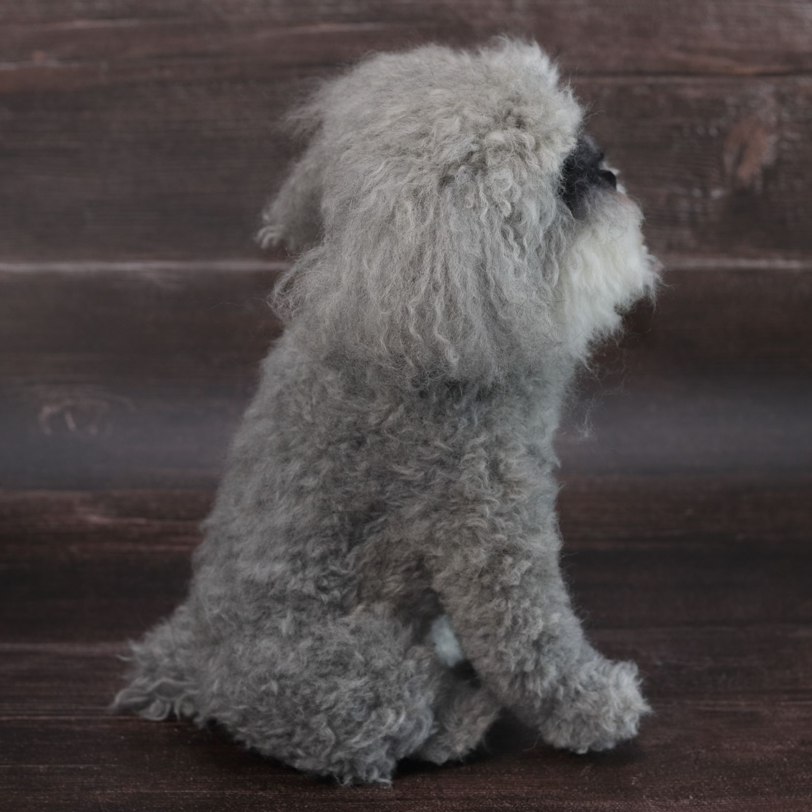 わんたさま専用 羊毛フェルト 犬 シュナウザー L オーダー シュナ様
