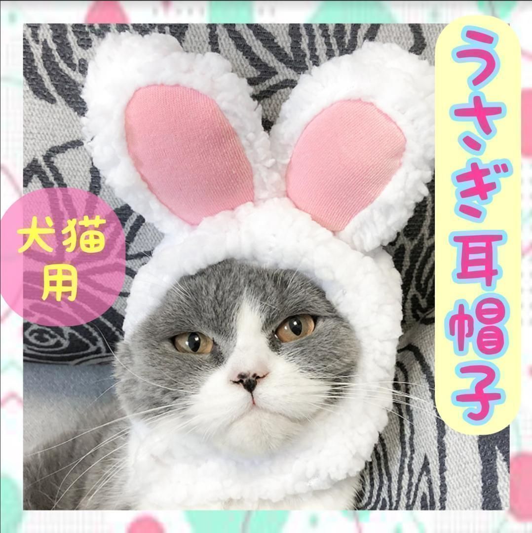 うさぎのかぶりものセット