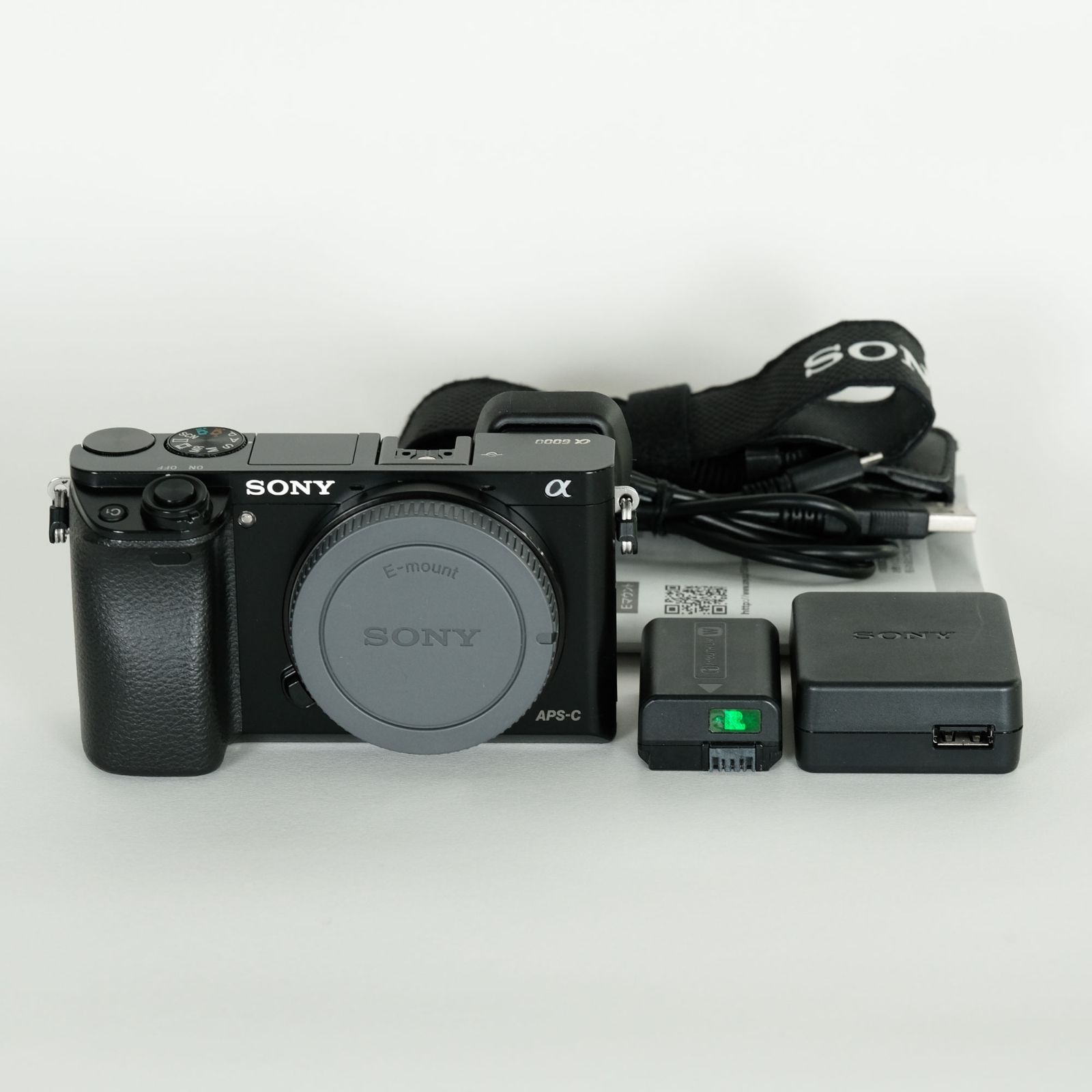 SONY α6000 ミラーレスカメラ 本体+レンズ付き 良品｜シャッター数