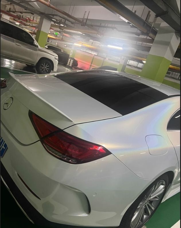 3色選択 リアウィング