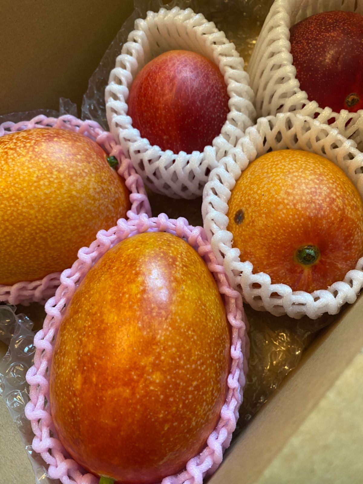 訳あり 加工用 黒点あり 】 宮崎 完熟 マンゴー 果物 5玉 1.17k