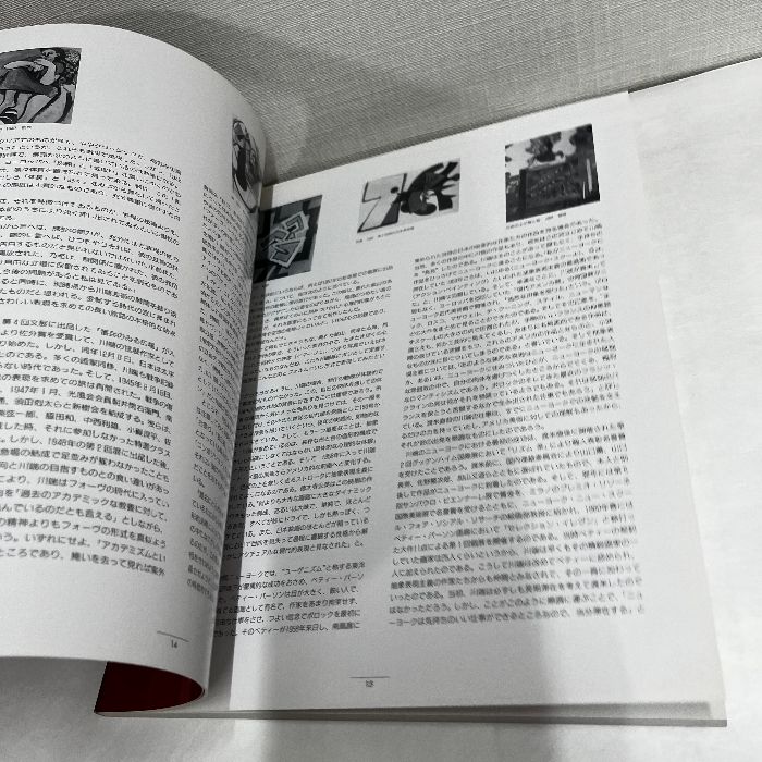 川端実展 在米35年孤高の軌跡 図録 京都国立近代美術館 児島
