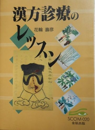 漢方診療のレッスン (スコム・同時代医学双書 20)