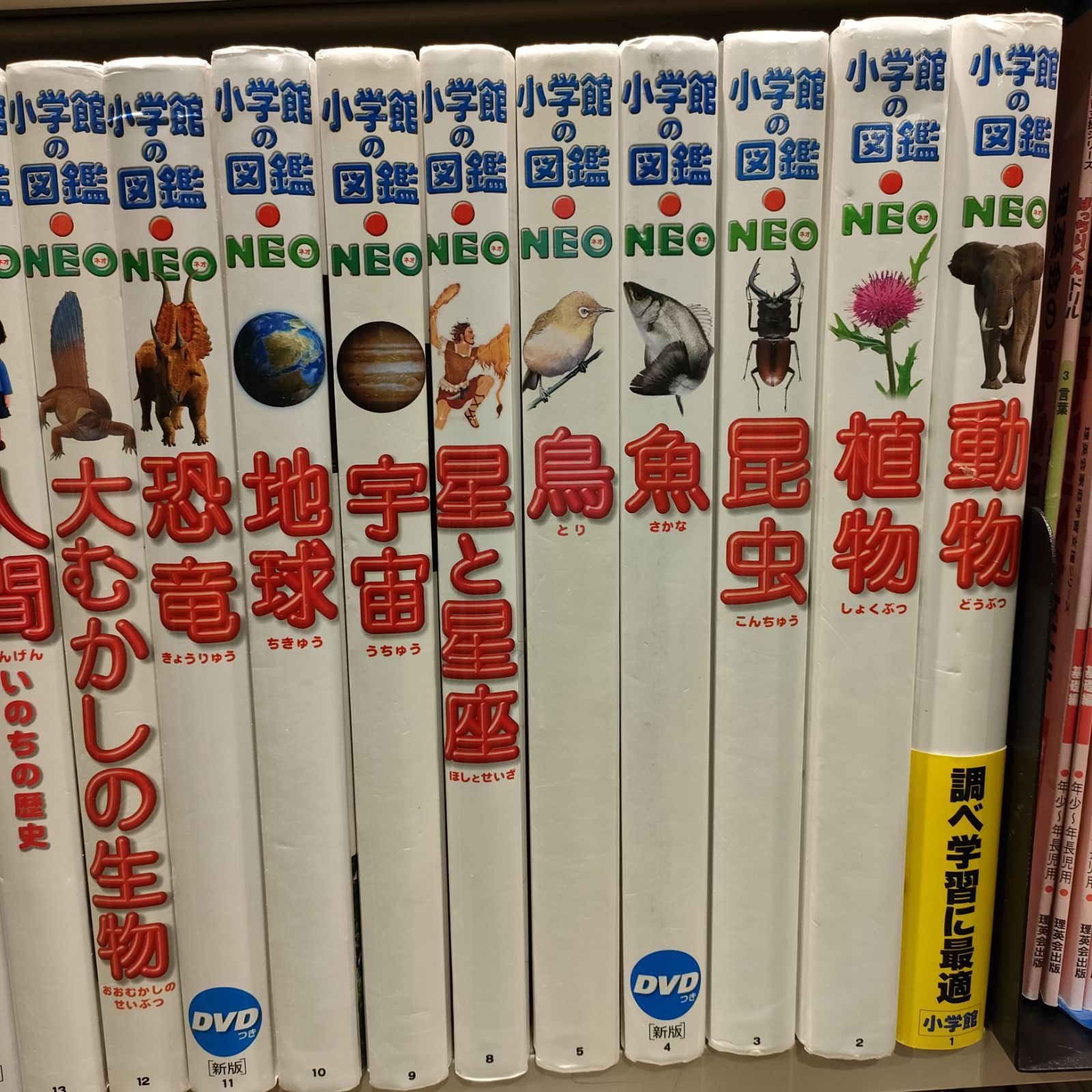 タイムセール 小学館の図鑑 NEO 他 22冊 ボリュームお値段大満足セット 