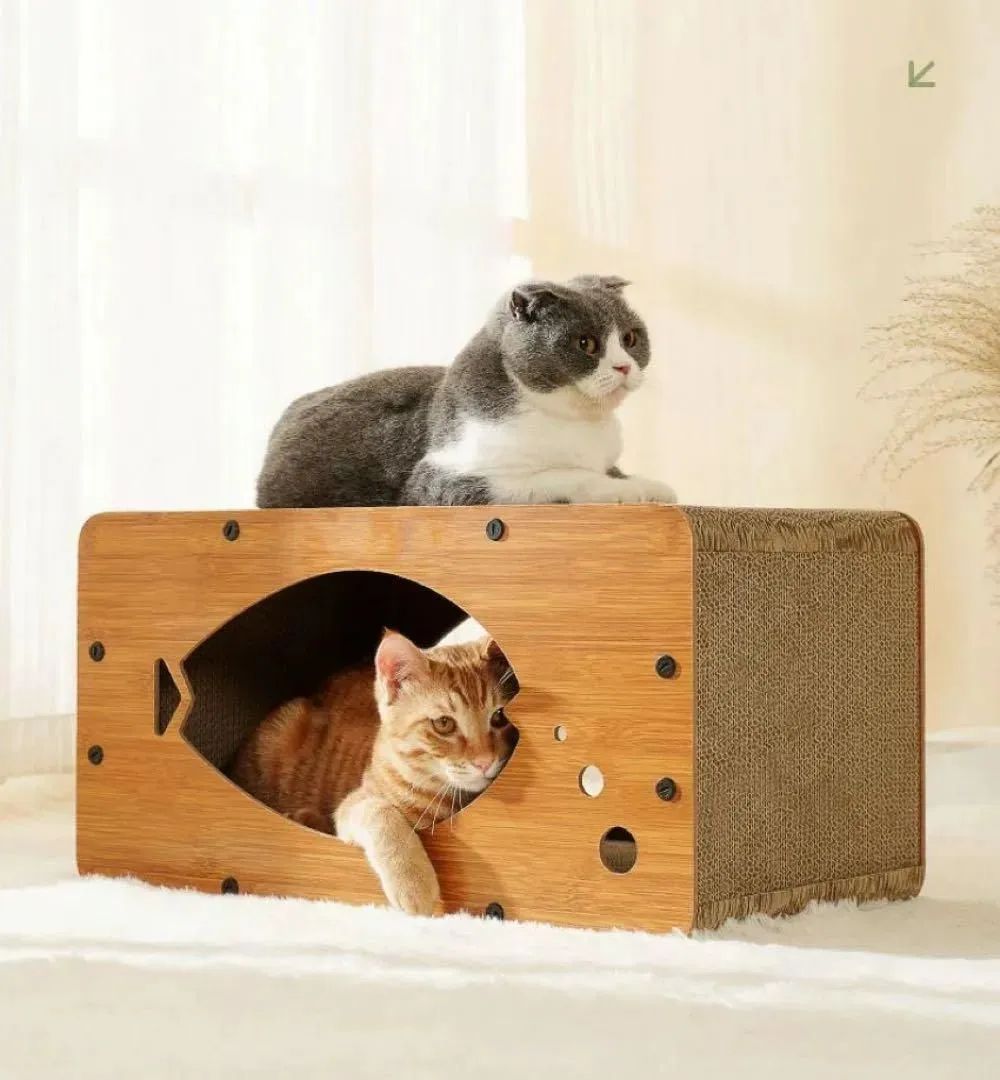 爪とぎ 猫