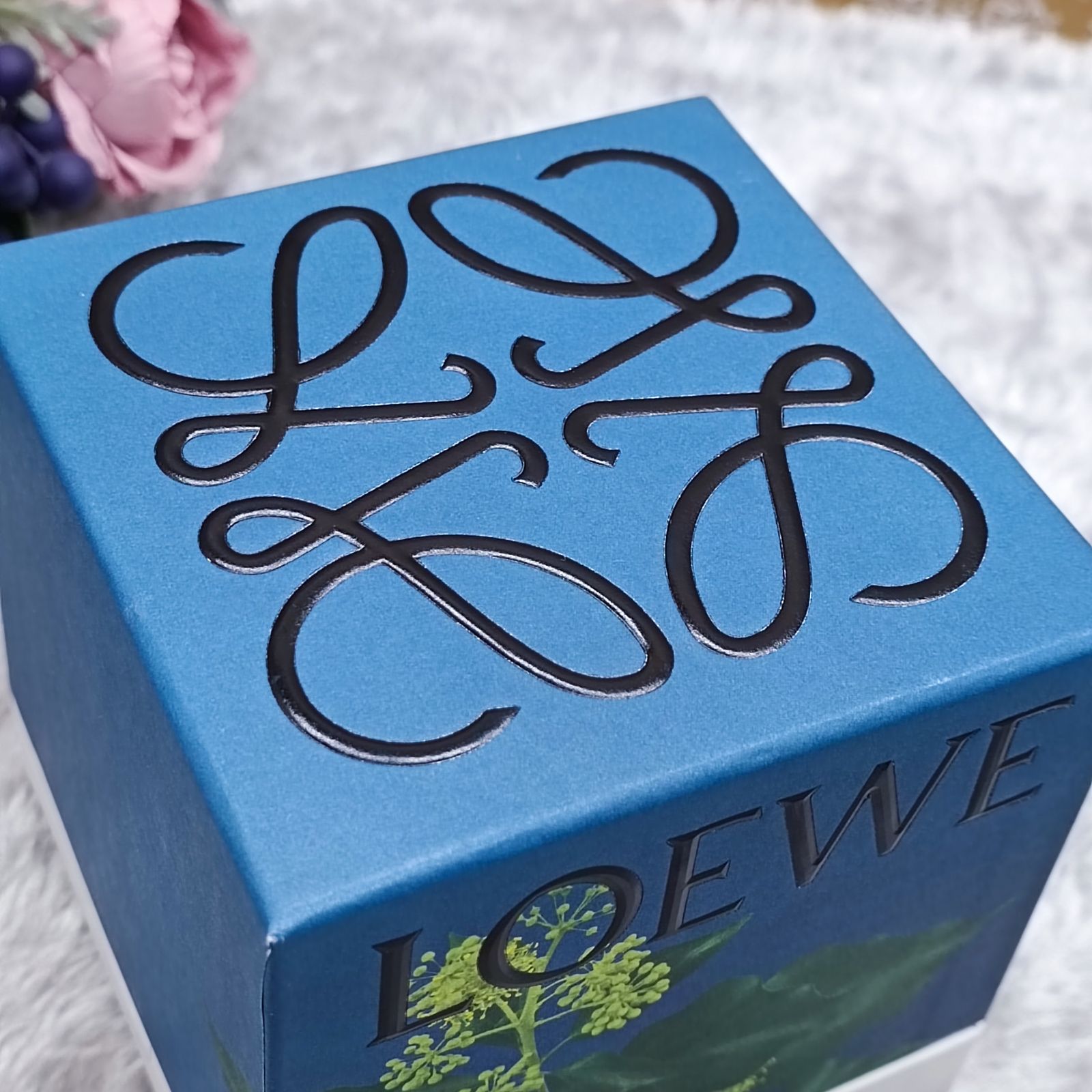 LOEWE 》 ☆未使用☆ ロエベ アロマキャンドル アイビー 170g