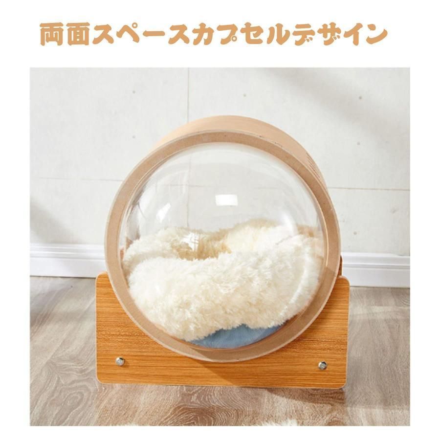 ハウス