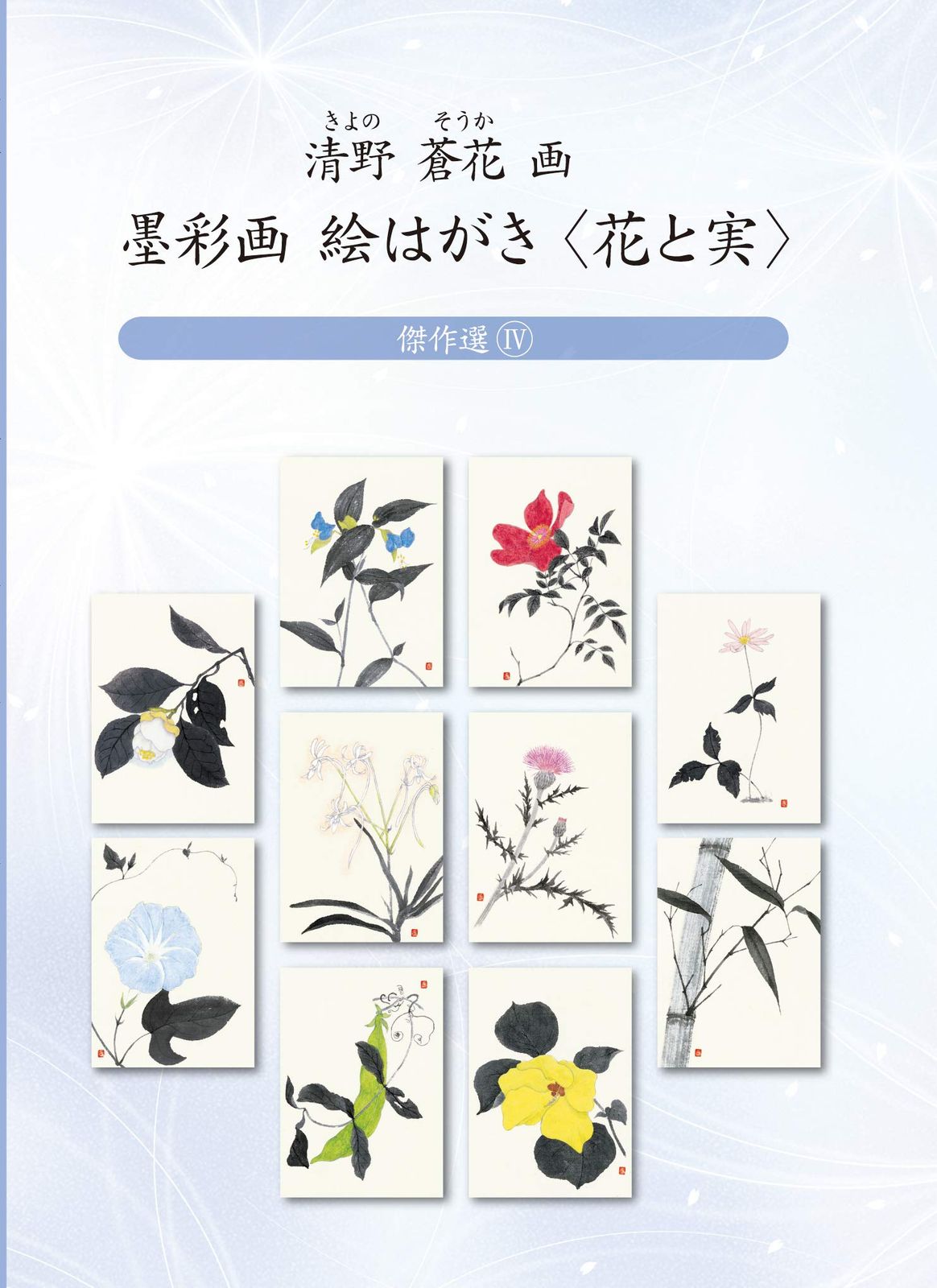 絵はがき 花と実 傑作選Ⅳ 清野蒼花