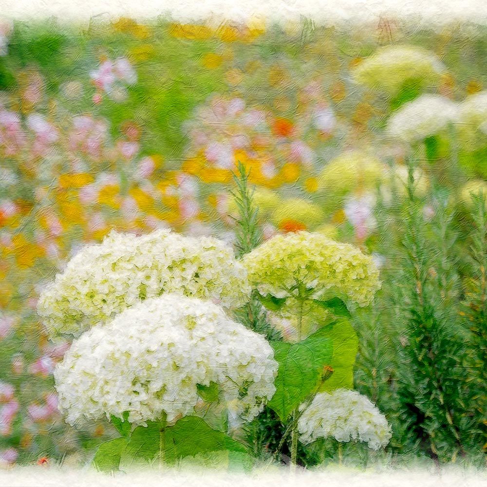 和紙の絵写真 「白いあじさいと色とりどりの花」 平面額縁付き 44x32cm