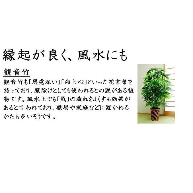 観音竹 フェイクグリーン 人工観葉植物 和風 大型 風水 厄除け おしゃれ 和室 お手入れ不要 福をかき集める 引っ越し祝い カントリーショップ  メルカリ