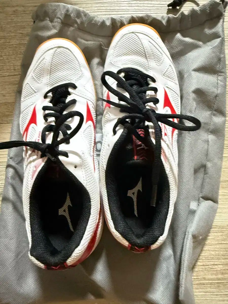 Mizuno ミズノ バドミントンシューズ