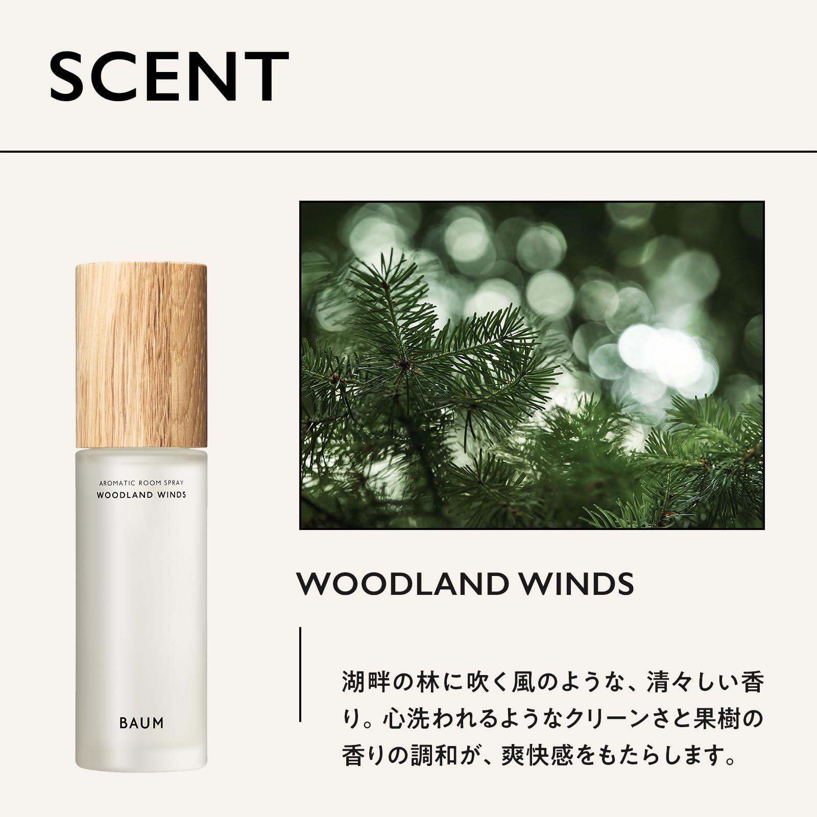本体 100mL