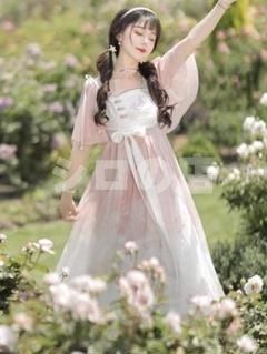 HF-181 豪華刺繍 漢服 かんふく 古風衣装 レトロ風 中華ロリータ コスプレ ワンピース 唐装 仙女服 中華風 美しい刺繍