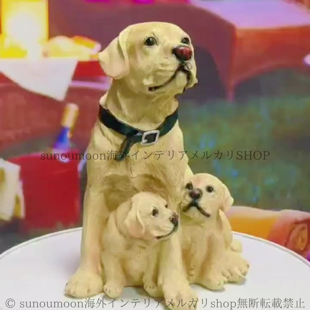 ほるぷ出版 新品らいおんコースまとめ売り（小学高学年用