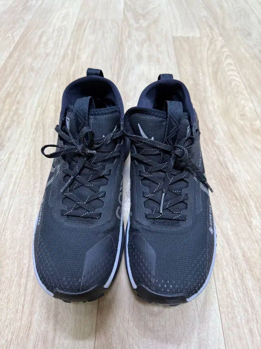 NIKE ナイキ GORE-TEX ゴアテックス ペガサス トレイル 4 250