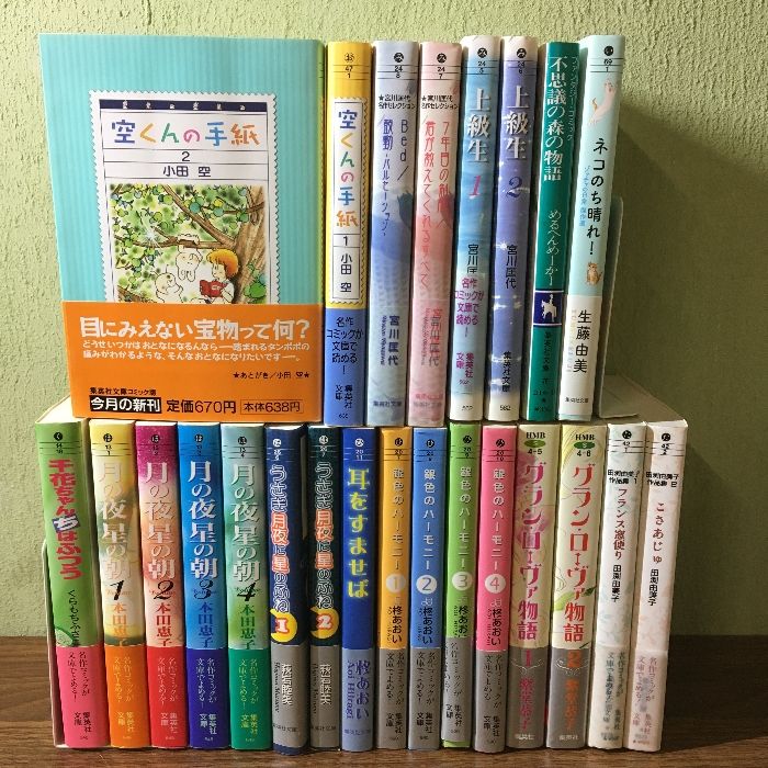 集英社文庫コミック＊24冊おまとめセット＊月の夜星の夜・銀色の 