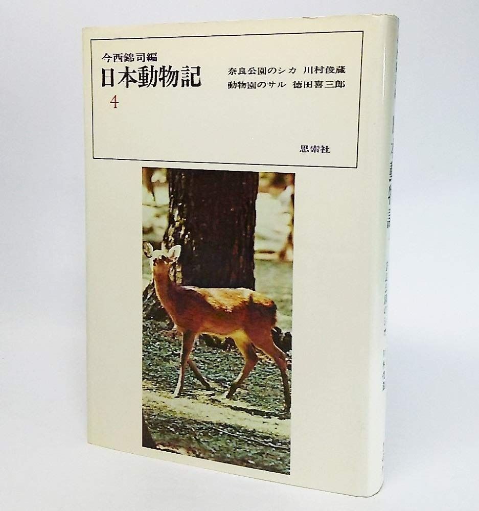 ke-non 割引 ケノン ver.8.5 シャンパンゴールド