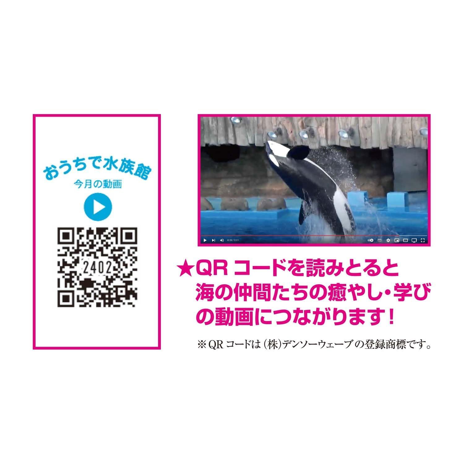 新着商品】新日本カレンダー 2024年 カレンダー 壁掛け ヒーリング