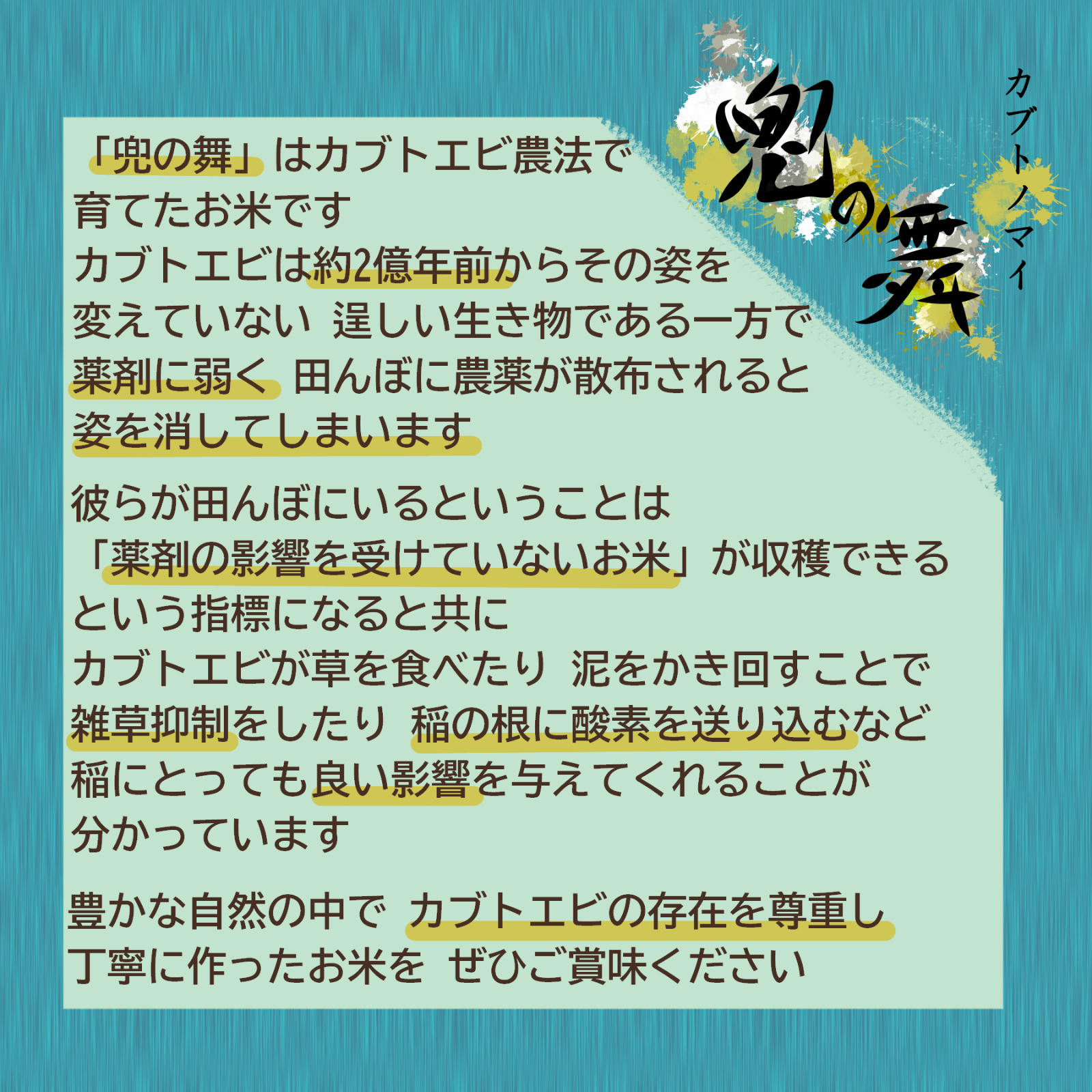 ～兜の舞～農薬不使用 カブトエビ農法 玄米or精米 5kg