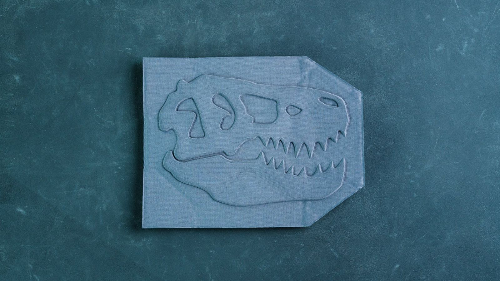 【実物】T.REX Plate Backer Set T.REX Plate Backer Set – T.REX ARMS