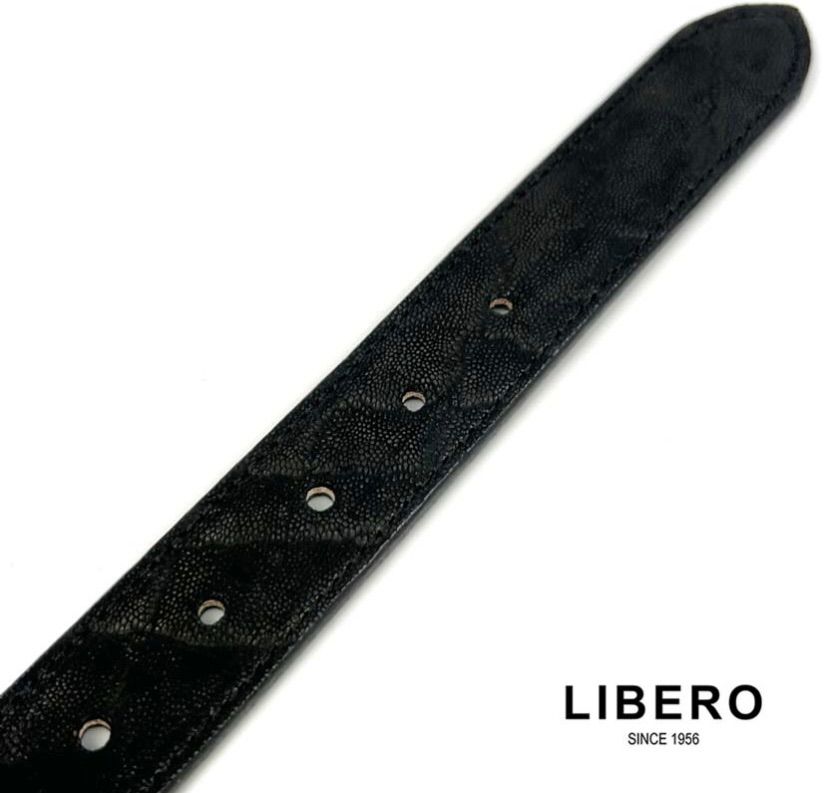 LIBRO リベロ