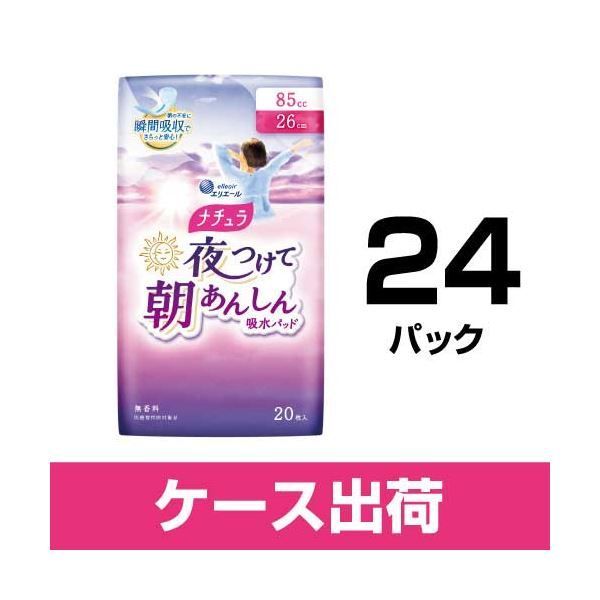 ナチュラ朝あんしん吸水パッド85cc20枚24P