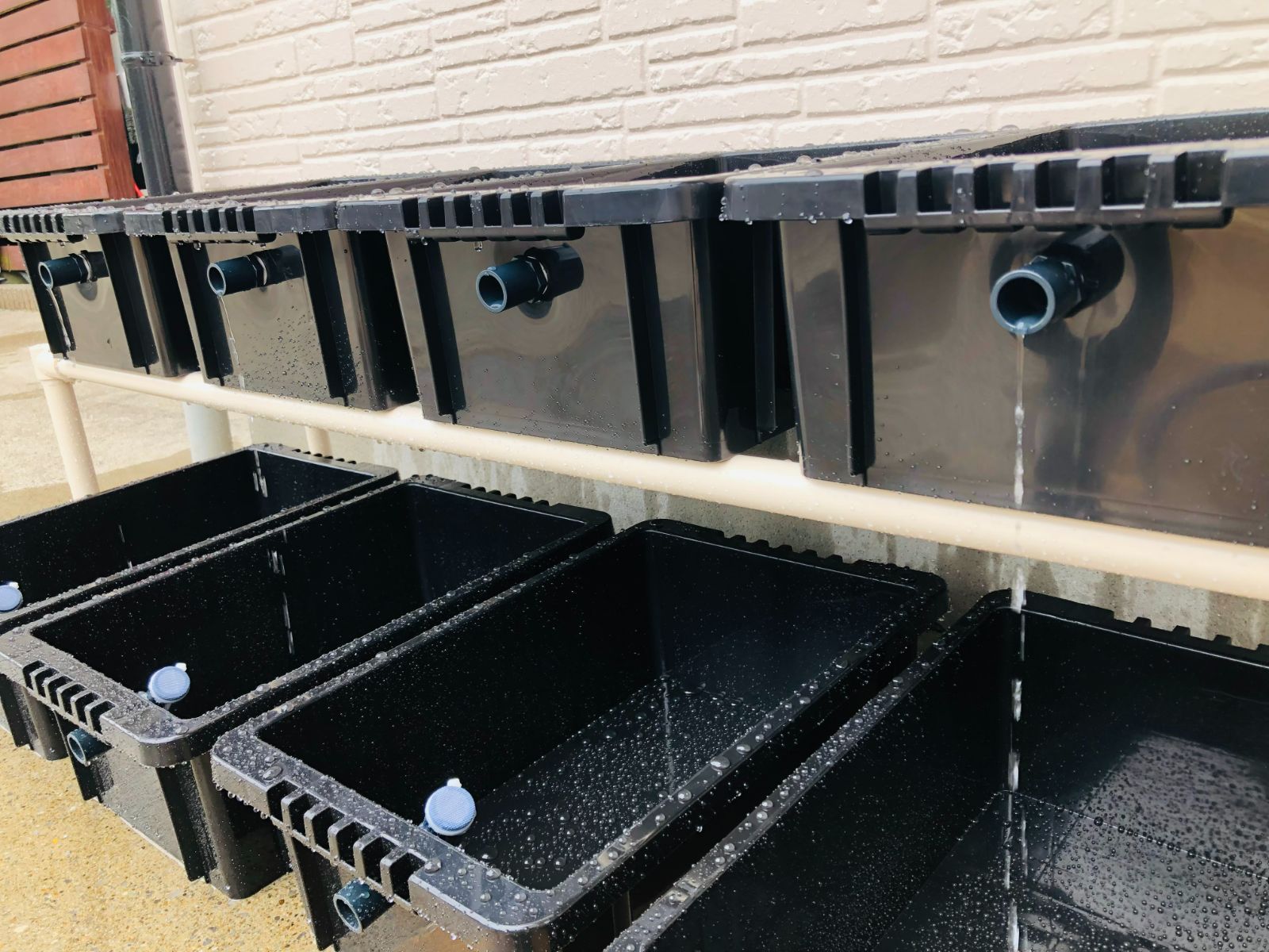 メダカ飼育ラック ブラック コンパクト 【接着剤付】 NVBOX13 4