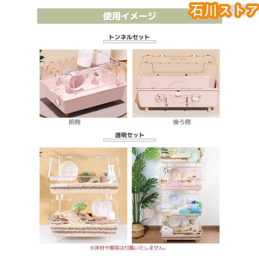 ゴールデンハムスター