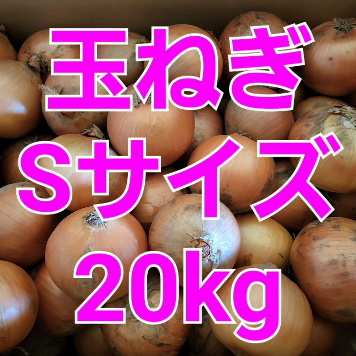 北海道産 たまねぎ Sサイズ【箱込み20キロ】 - メルカリ