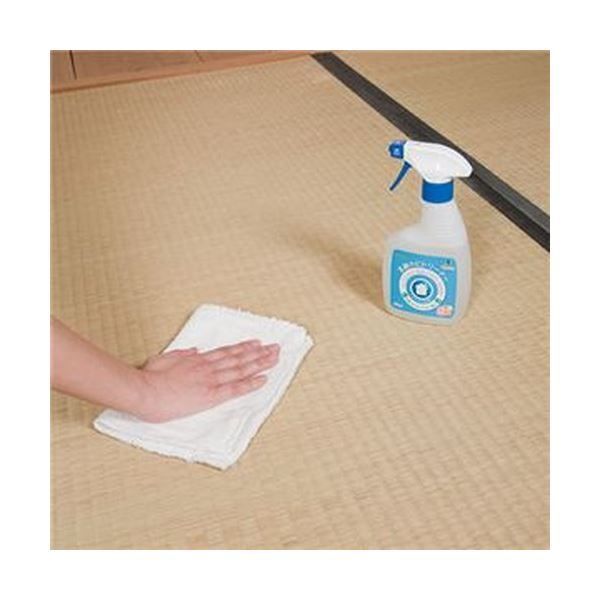 まとめ 乳酸カビトリーナー洗浄効果プラス