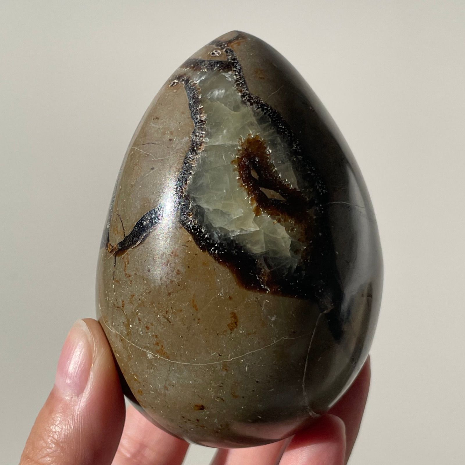 フォロー割あり】 Septarian セプタリアン|egg 卵|天然石