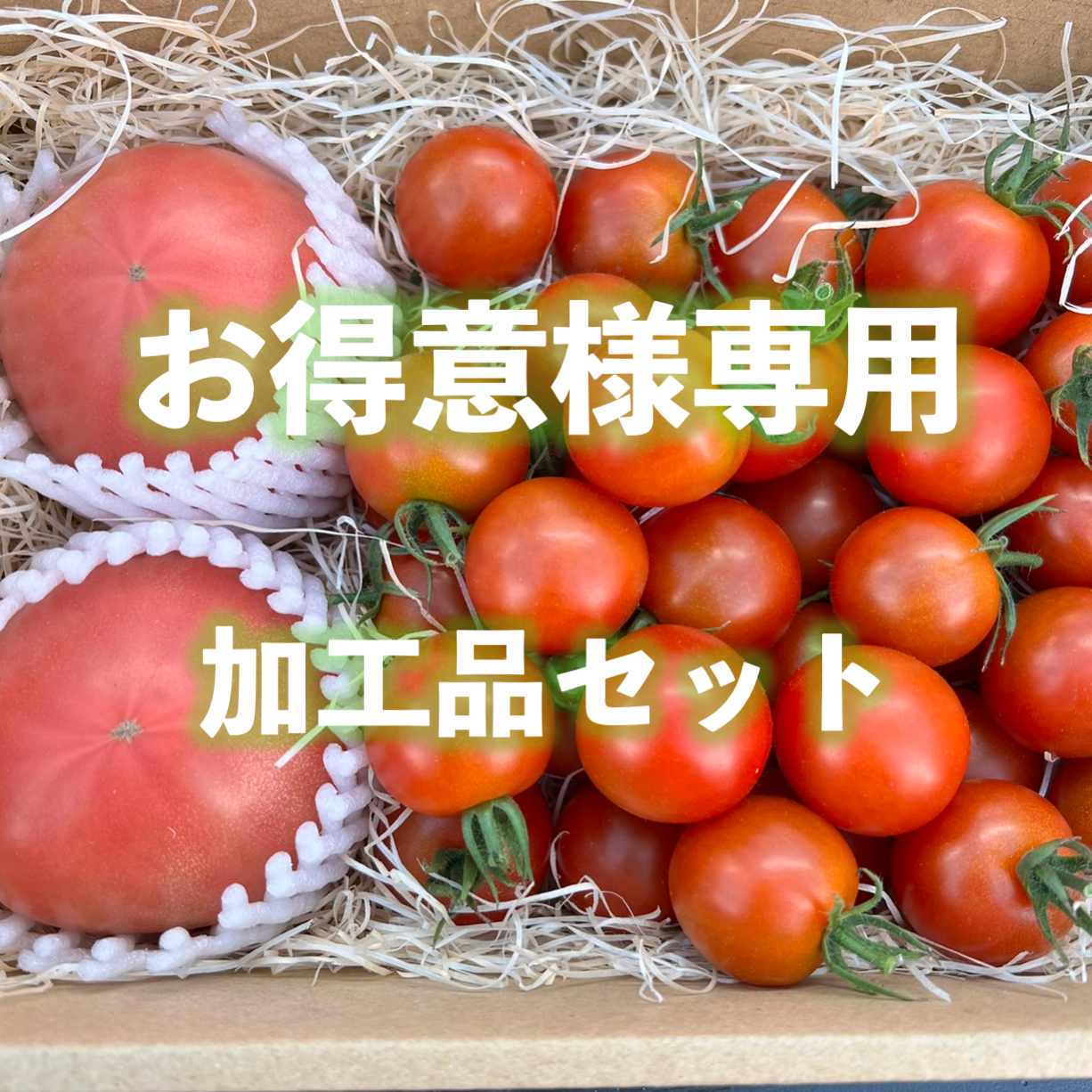 Tomato様専用品 - 虫類用品