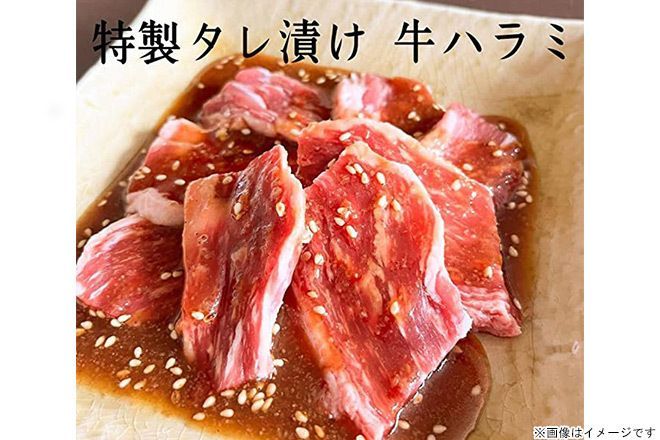大容量 タレ漬け牛ハラミ 1.8kg 300g×6パック