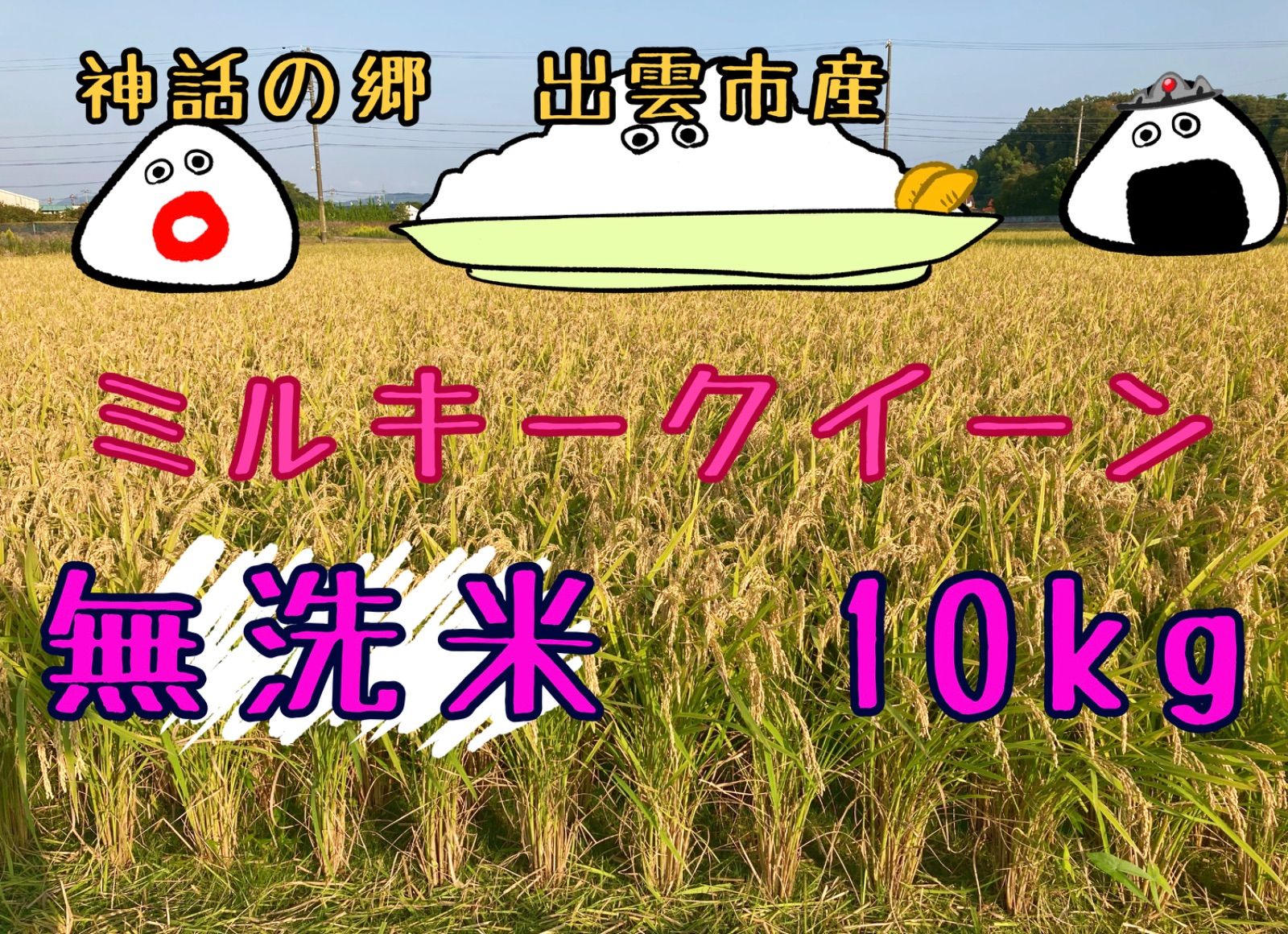 ミルキークイーン 無洗米 〔精米後〕約10㎏