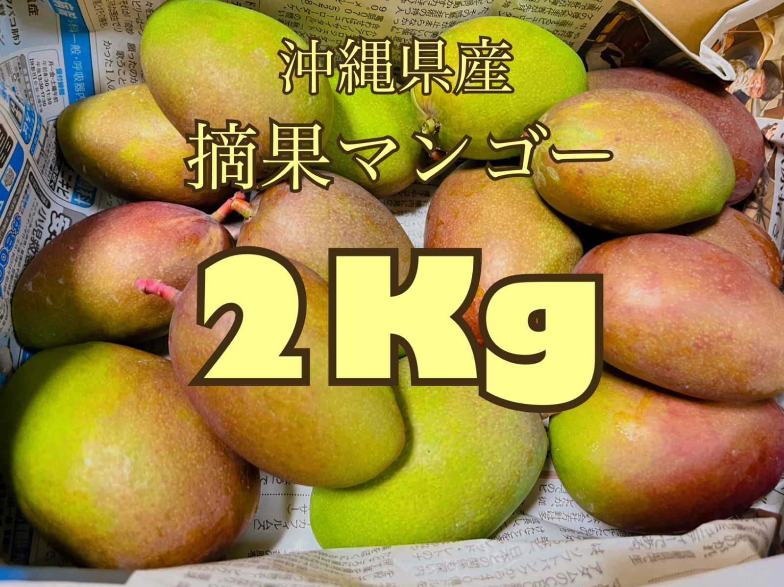 15kg宮崎県産摘果マンゴー　15kg ②