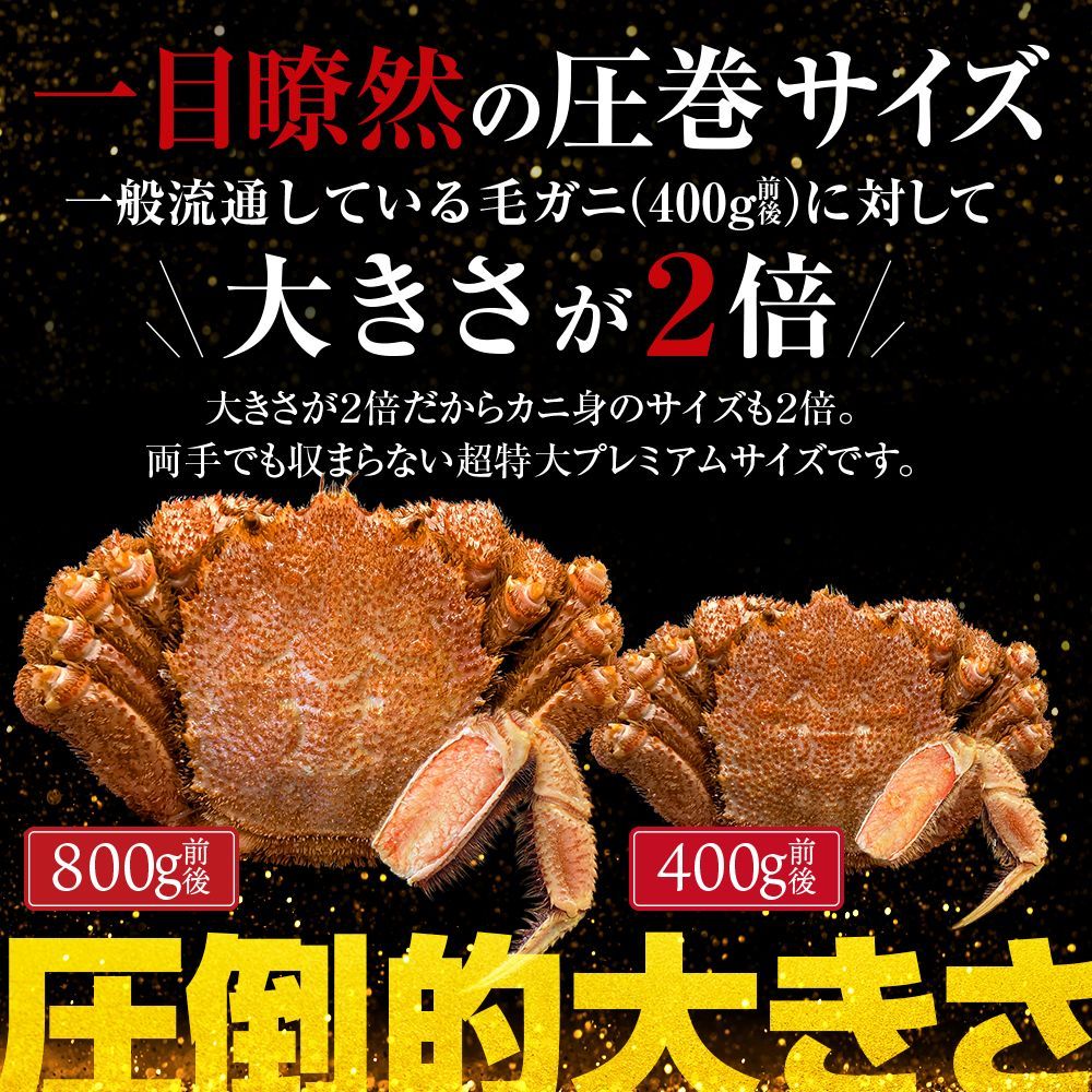 (a009-08)北海道産 超特大プレミアムボイル毛蟹 800g  【最高ランクの堅蟹! 流氷明け!!】  ◆ のし承ります ◆