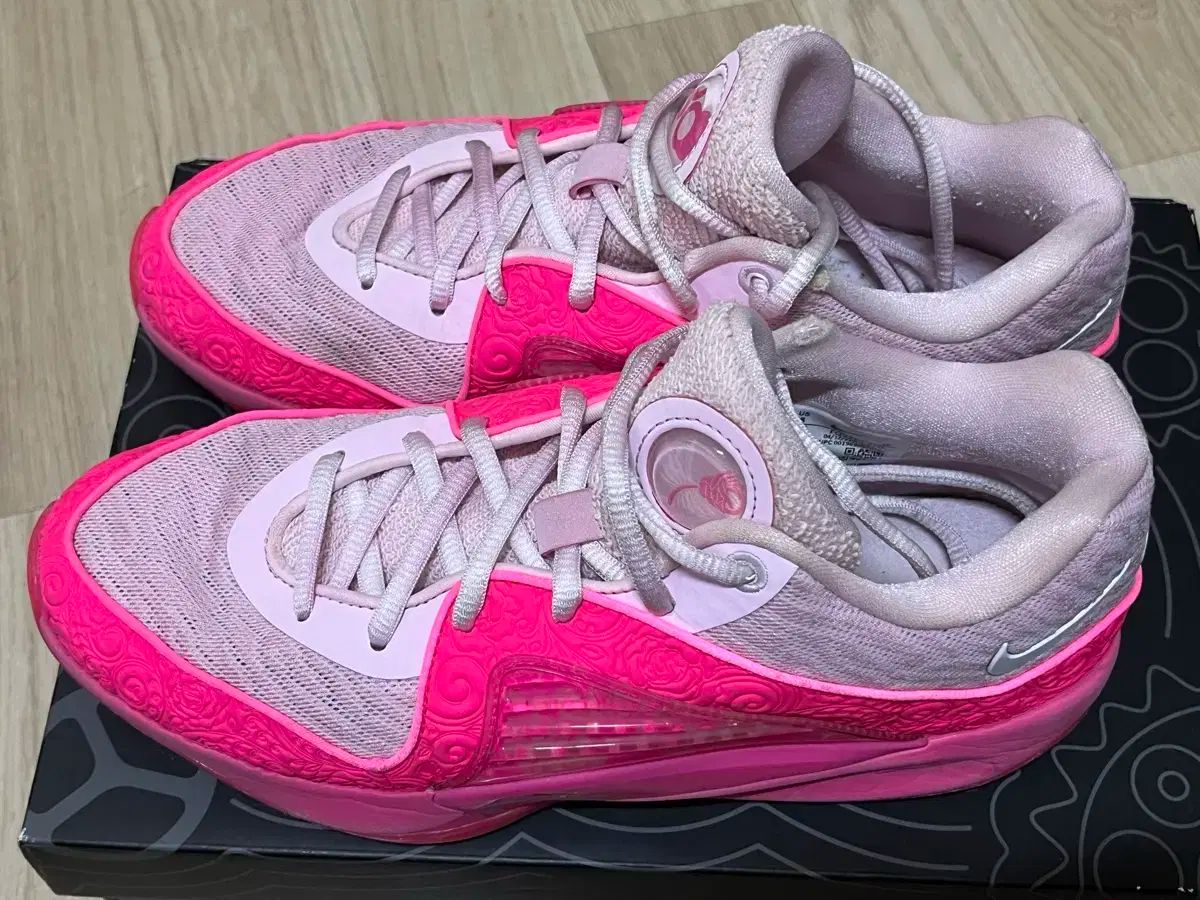 kd16