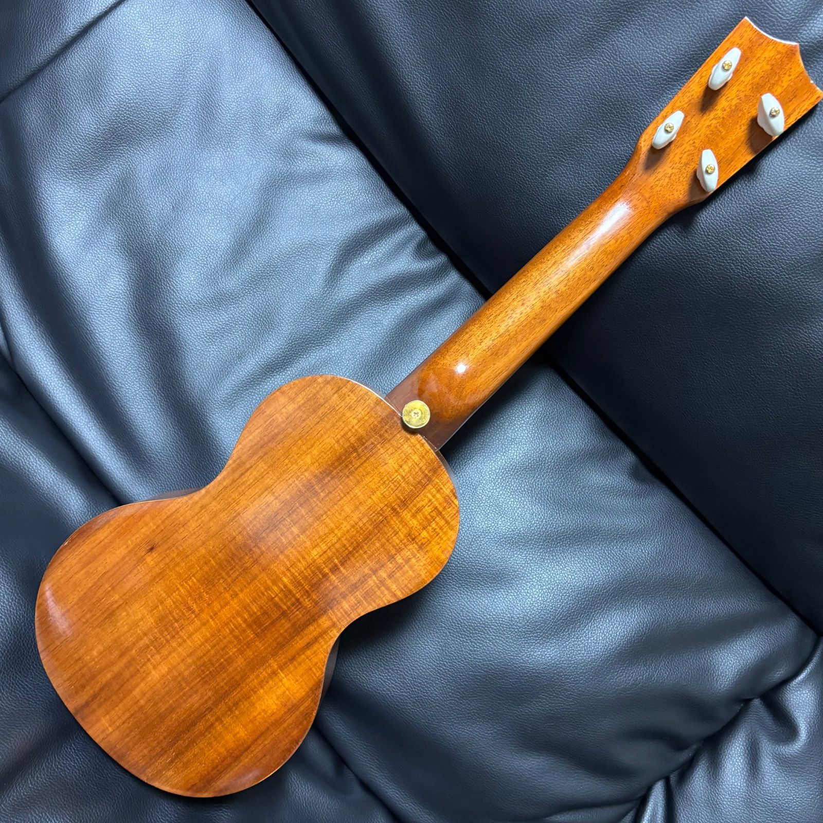 ハードケース付き