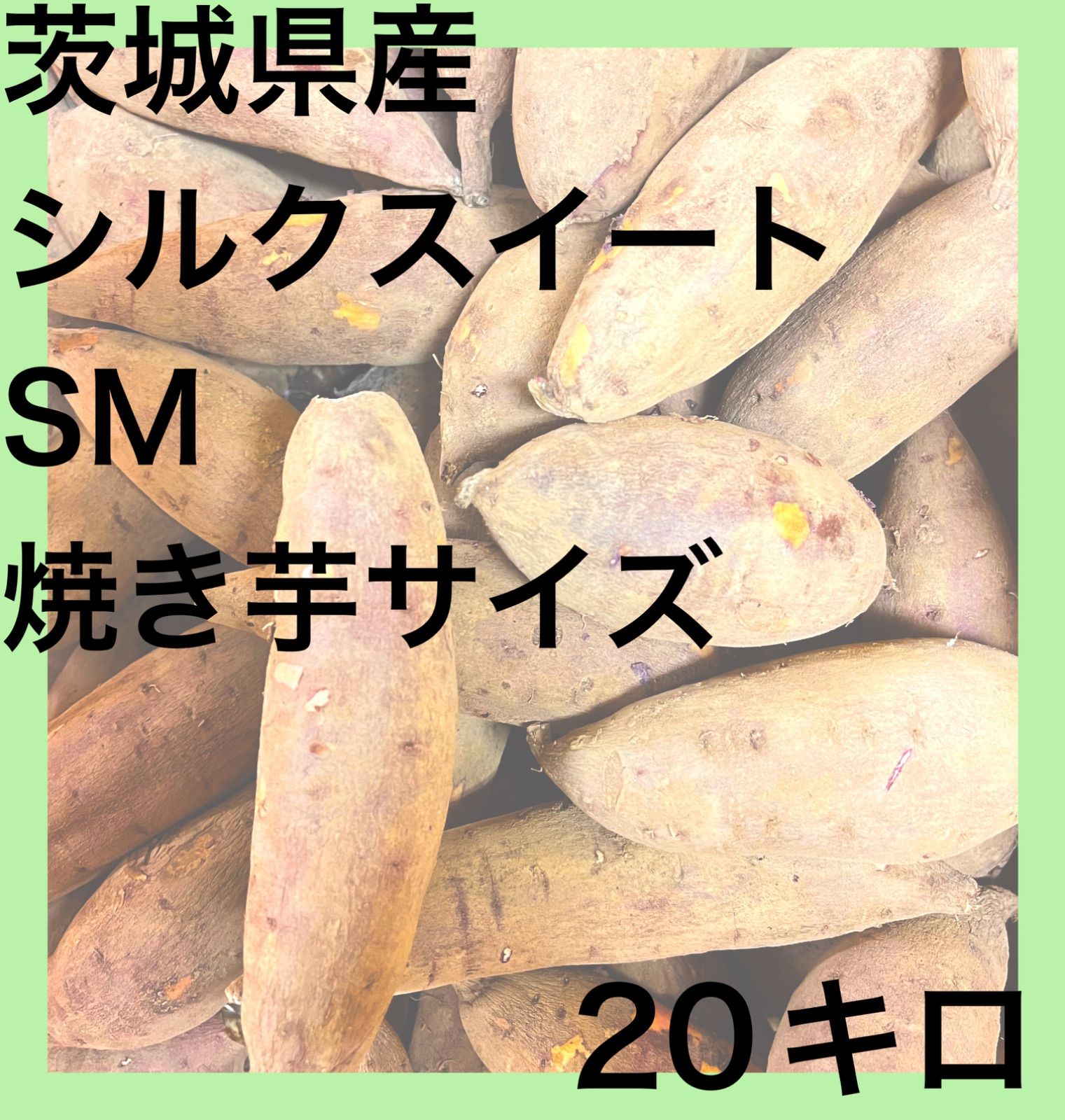 安心の関税送料込み べにはるか Ａ品 S M 25kg - 通販 - qualhouse.pt